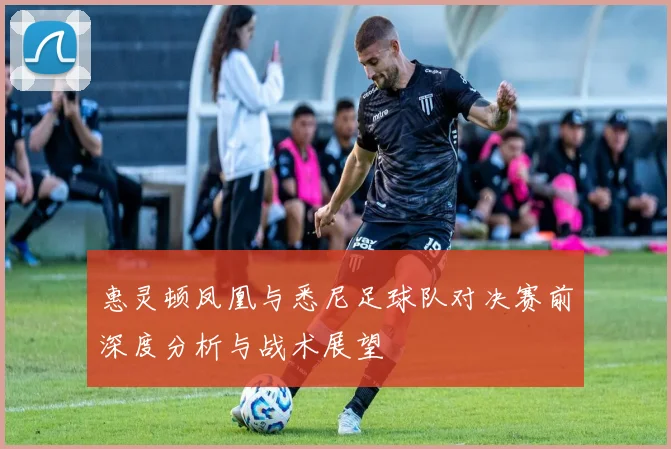 惠灵顿凤凰与悉尼足球队对决赛前深度分析与战术展望