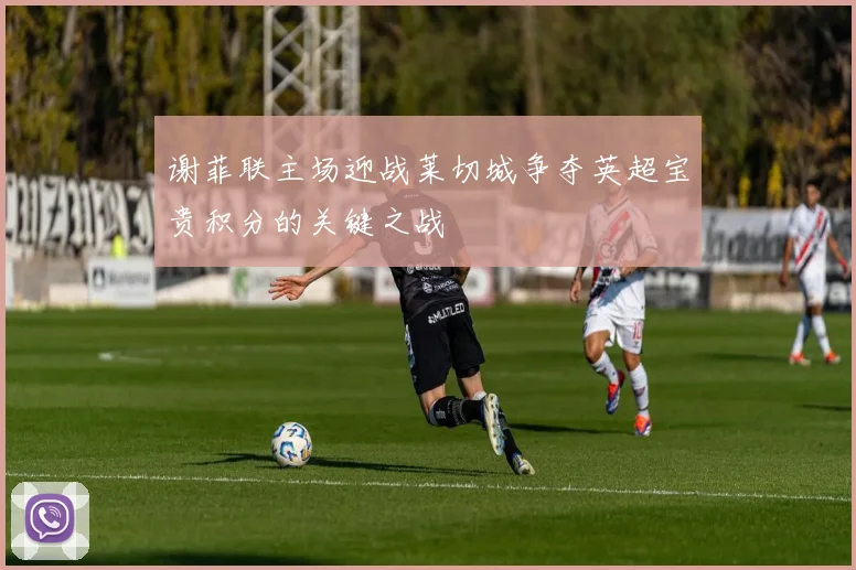 谢菲联主场迎战莱切城争夺英超宝贵积分的关键之战