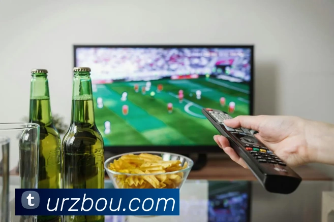 多媒体互动体验